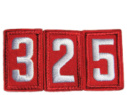 Cub Scout Pack 325 Dallas, TX Logo